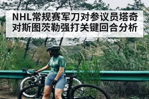 NHL常规赛军刀对参议员塔奇对斯图茨勒强打关键回合分析 | kaiyun